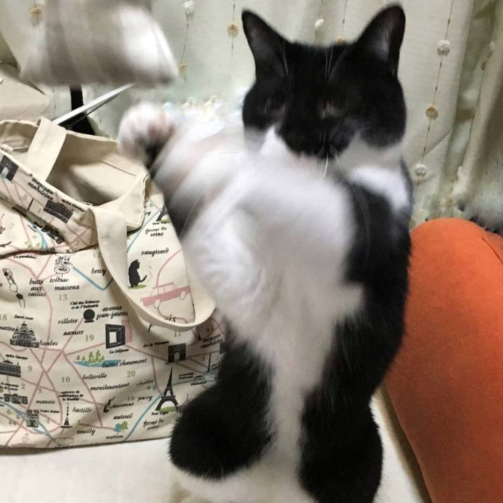 3065201c 48b8 4276 b3b3 6d315861f3dc