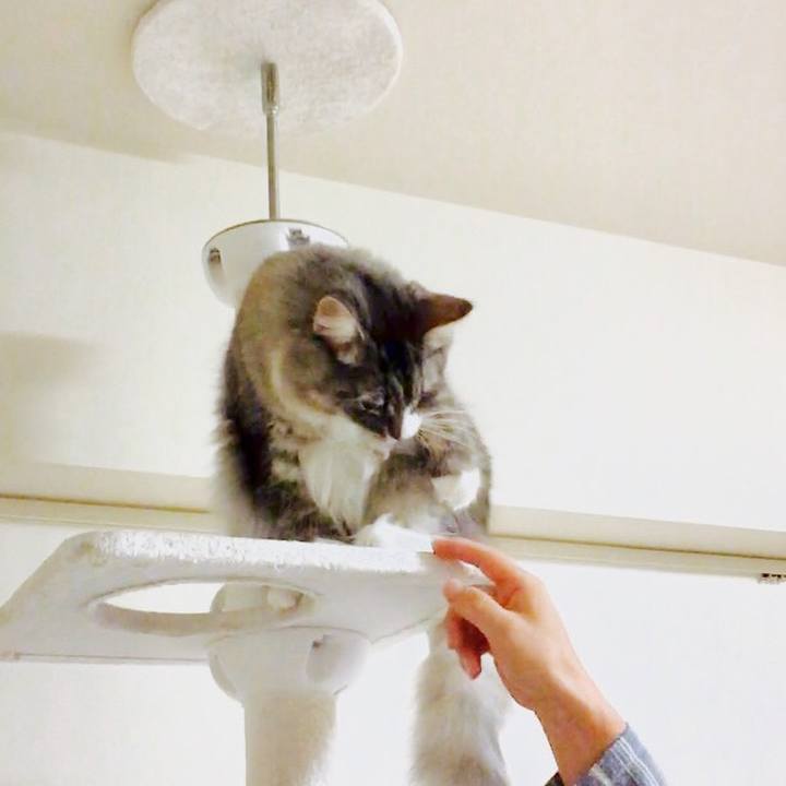 3065f0ab b120 4d7c bd26 985db14873c0