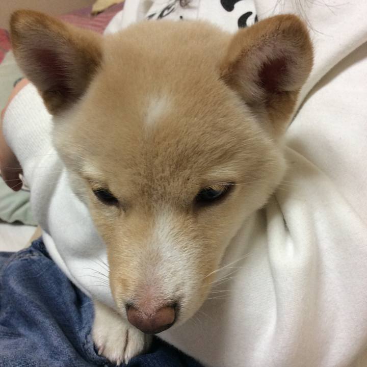 3067061d f5bb 415a 8982 e86284bc6a08