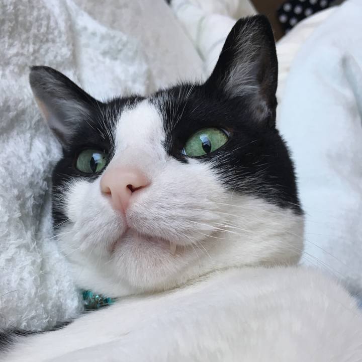 306734ef 101b 4949 8a40 51559515d066