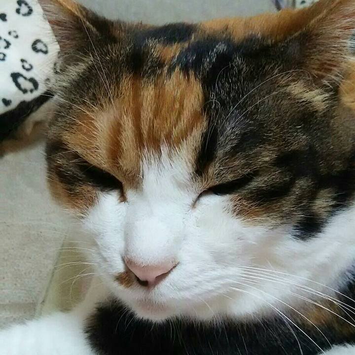 3067856c c14e 4615 a77e db392ad0723f