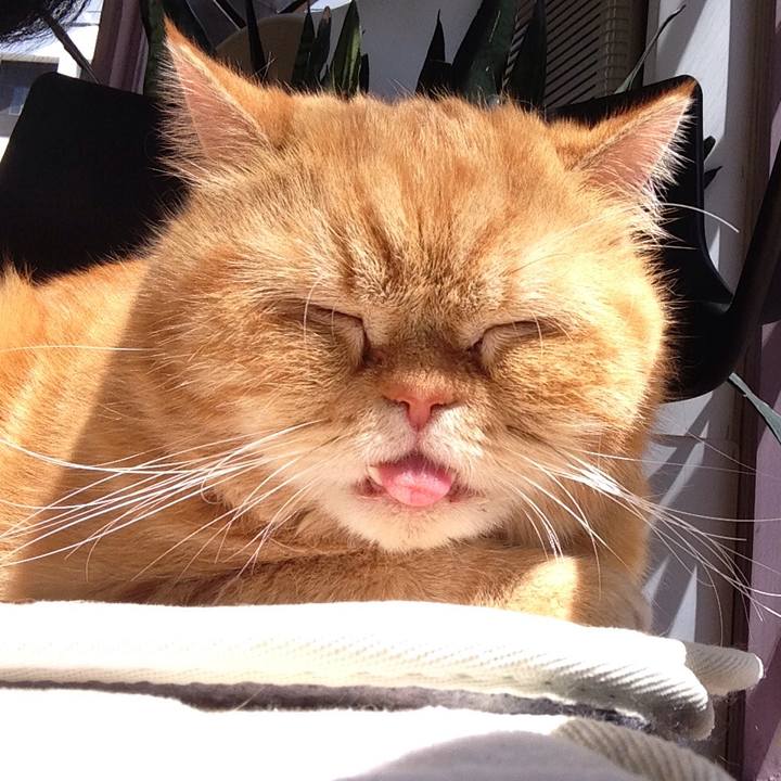 30679427 3e7b 49bf 92f4 6a8763eb70d0