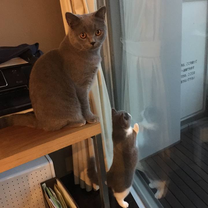 3067d789 50f6 418e 891e b979f7a9a3b5