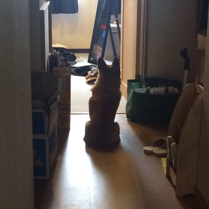 3067dbd2 48e3 4a06 a486 ad8bac53ceb1