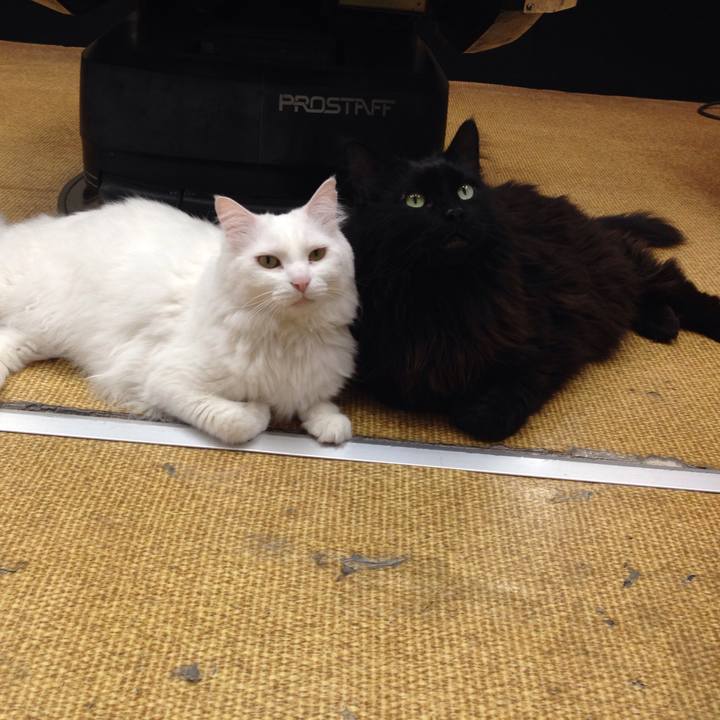 3067f12d 0c51 4df9 b764 9c9f9e5a5133