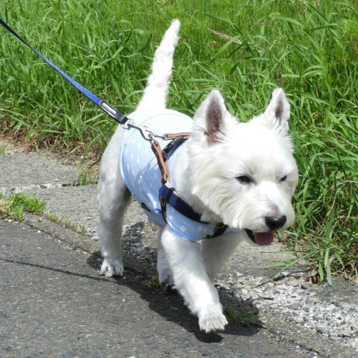 3067f32a 5fd3 4ef6 82e1 e32777ebe681