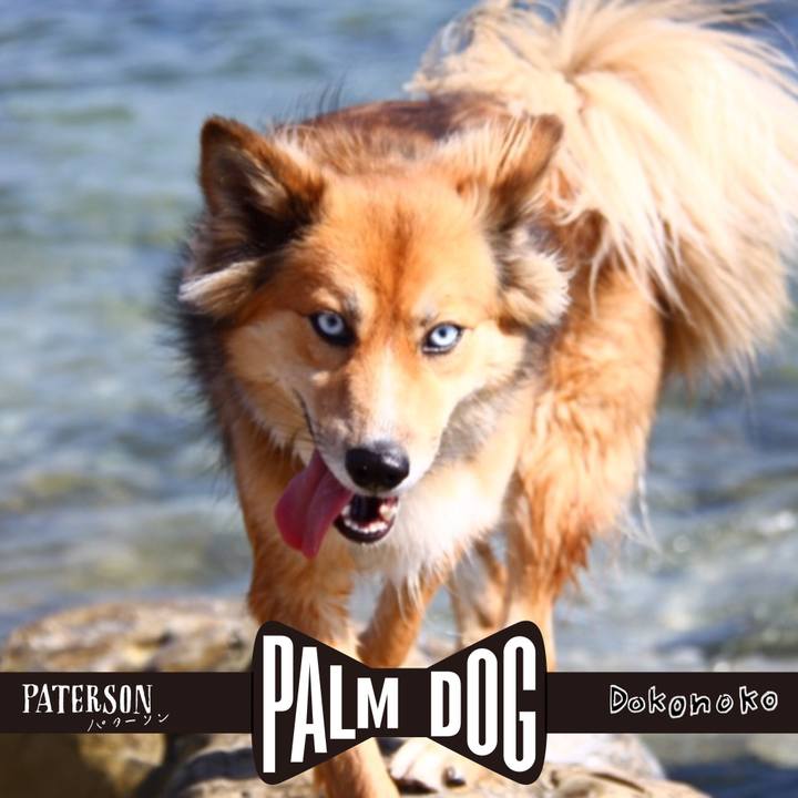 3068255a 4cb5 484a 9aab 79a5008e279b