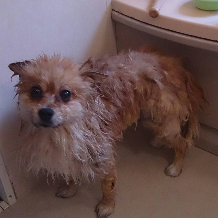 30683dad 8c28 421d 80af bd7eaf8183e9