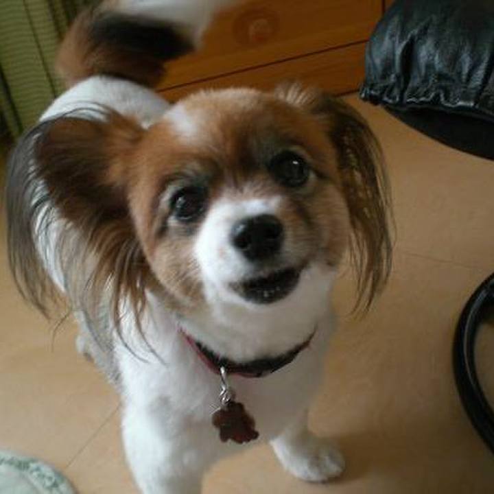 3068ce9d 243a 4a93 82f6 017250168135