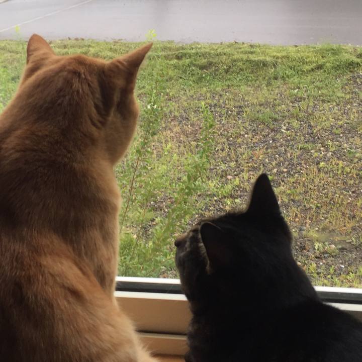 3069df30 2078 45fe 9466 cedbd20ab9e5