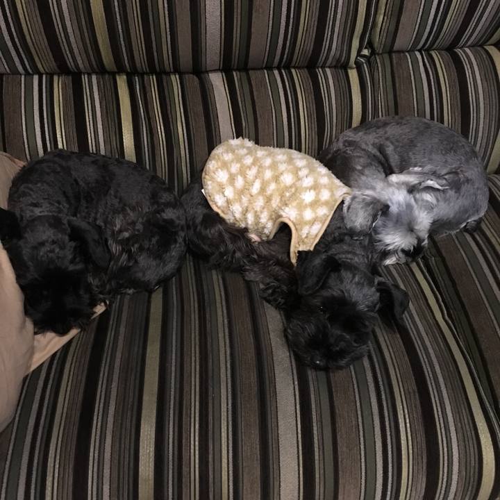 306a16dc 840f 45de 8f72 64b365d9c3da