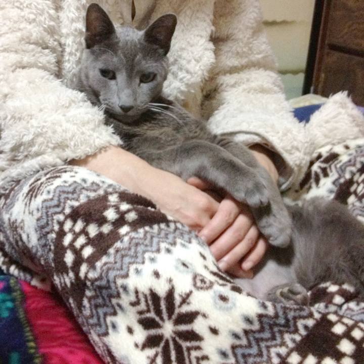 306a2d50 00e1 4048 9d6b af3c443881c1