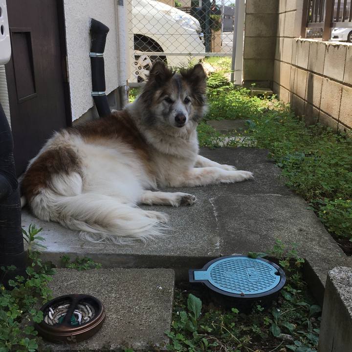 306a9195 87b8 4069 b7c2 b5080bb88516