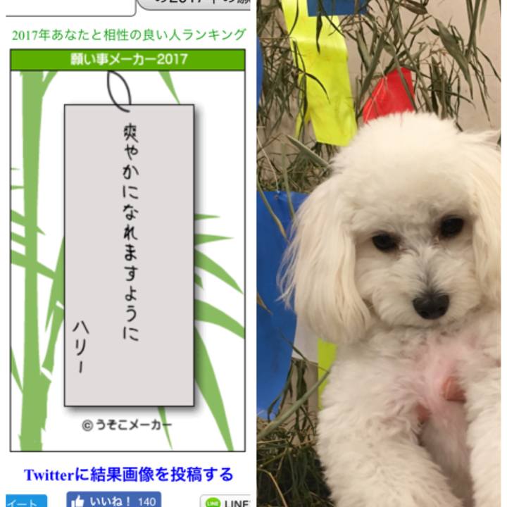 306a95dd 8a68 4de9 8f58 300a7c3e1b04