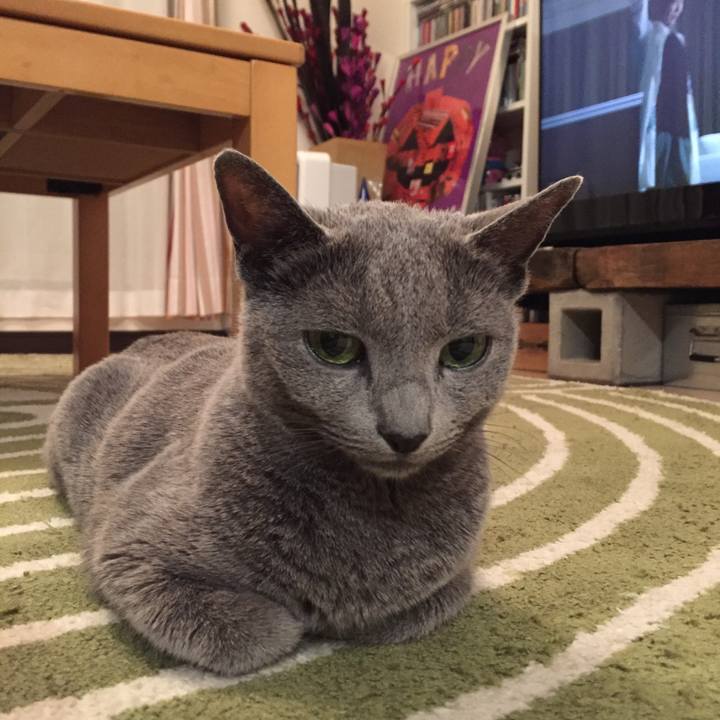 306ac185 994e 40bf b138 6989ad7de3b0