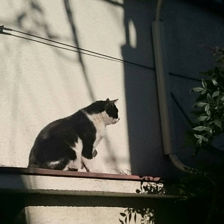 306af8d9 3ad0 4b38 926b f21a1cfe56e6