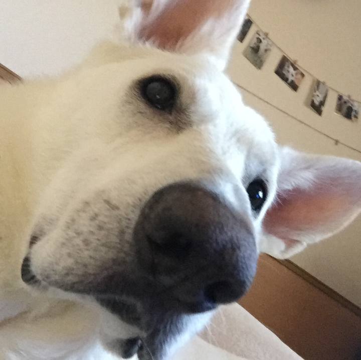 306b3744 7dc2 4863 b193 4ac14936923a