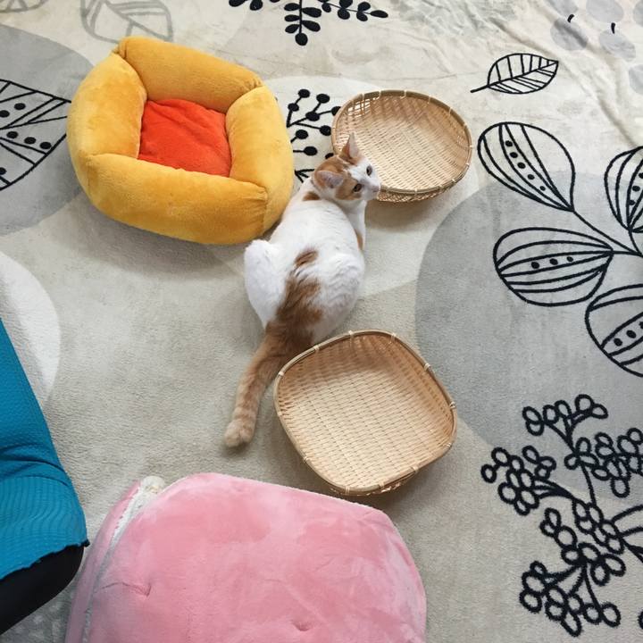 306bb7e6 e308 476e bf62 a3794e675b46