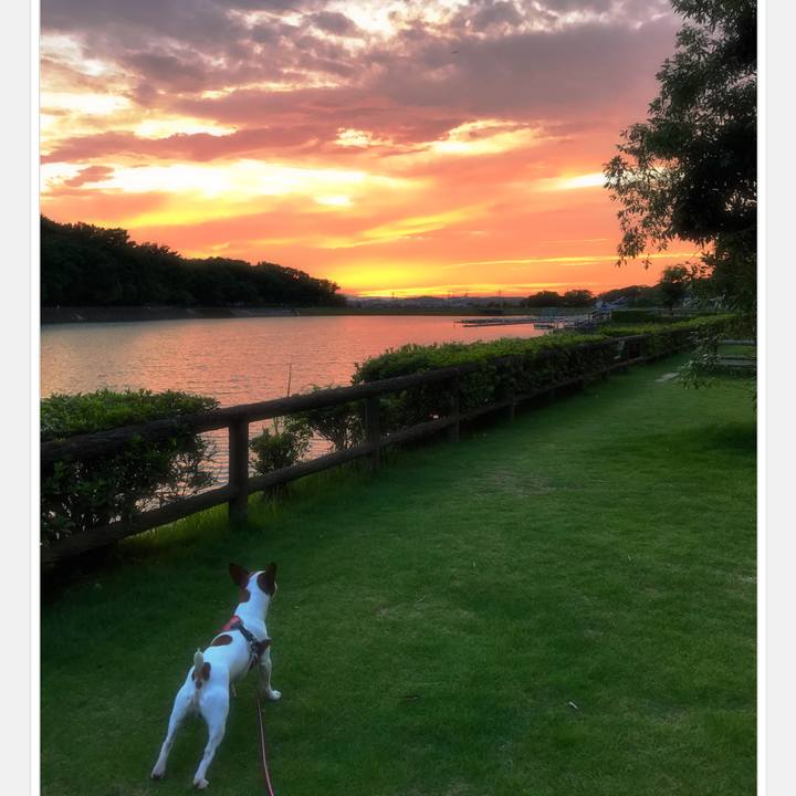 306bc703 a536 4c9b 9959 2b63b0be884a