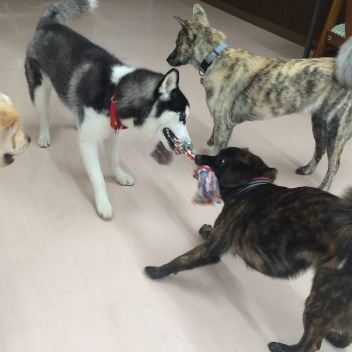 306c07d1 e949 4b3f 89b5 9a15256b8cf2