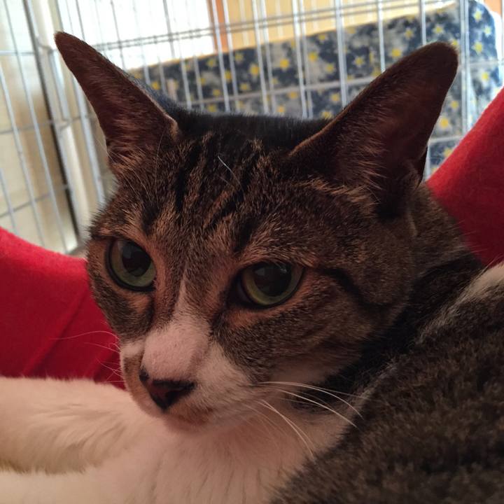 306c0a83 7288 4a53 8a40 ab1a12d053e3