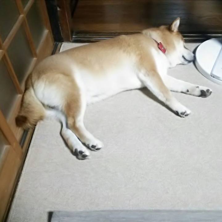 306c209a 705a 4cfa 8d1e 655725fa3b77