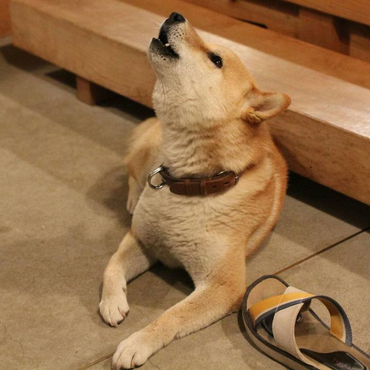 306c5ee3 3c4f 4fb1 b2fc 3ef202689f4d