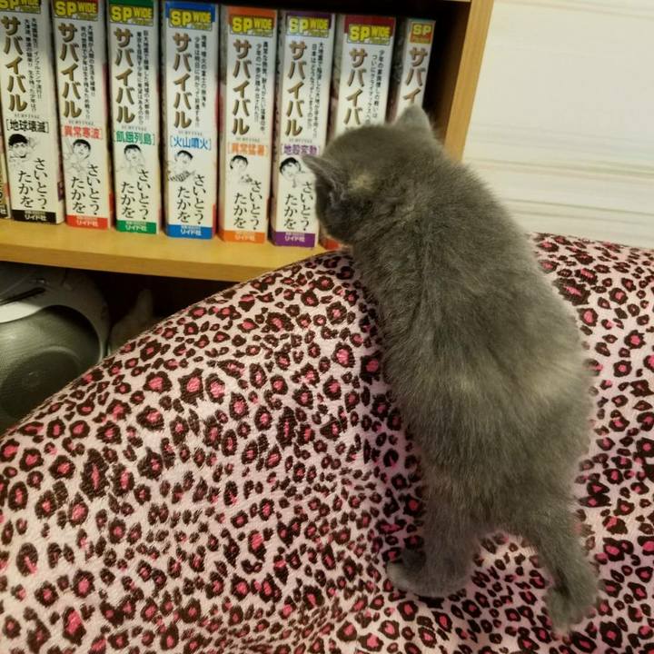 306cbca9 5a19 4e38 b460 7a9922110206