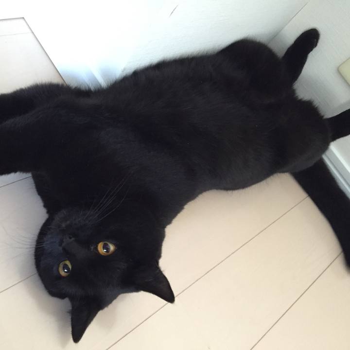 306d4fda c6f7 4198 a350 01e1134ae858