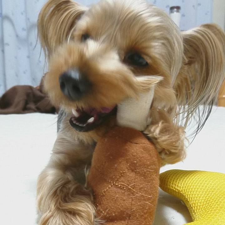 306dc8f0 0145 41e3 b7f9 d8106eebcf87