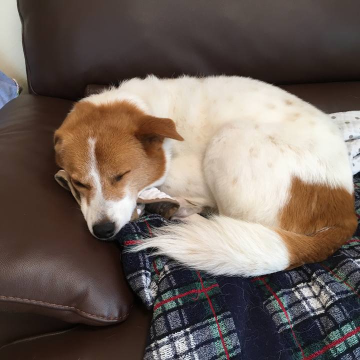 306e276c 10a4 4b6d a2d0 d7121461ab16