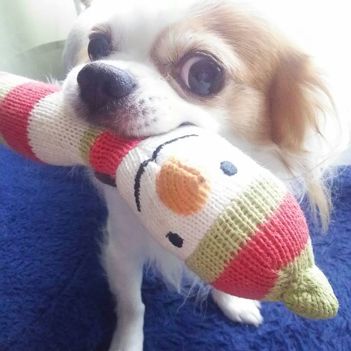 306e4d16 1222 4697 ac06 097c135c443f