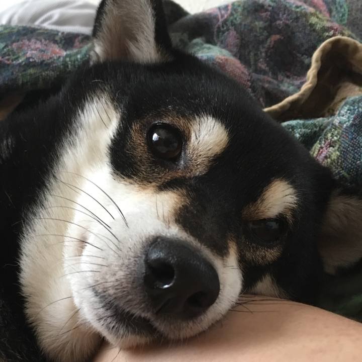 306e787f 19f3 403a 8175 6f363071bc93