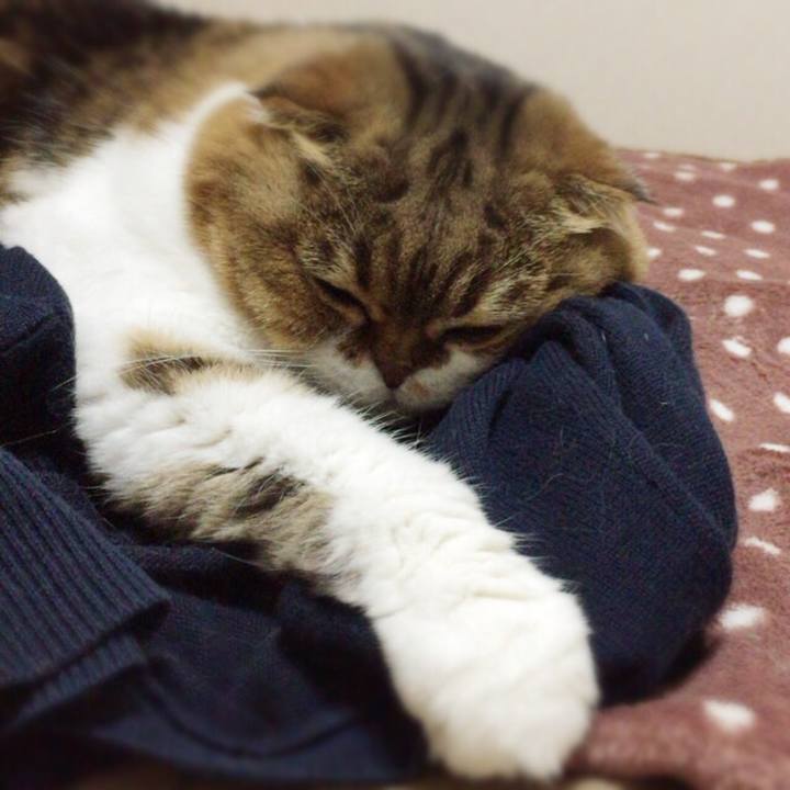 306e7bfd 3357 4f9a bef4 b7e519abfbae