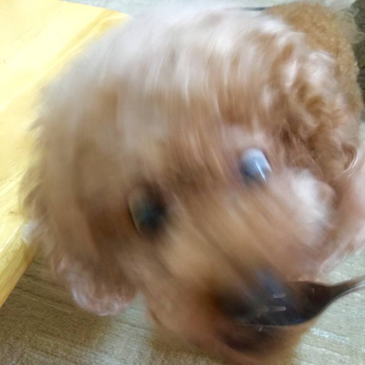 306ea932 6e68 488e 9d9c 8dd1f9dfd91f