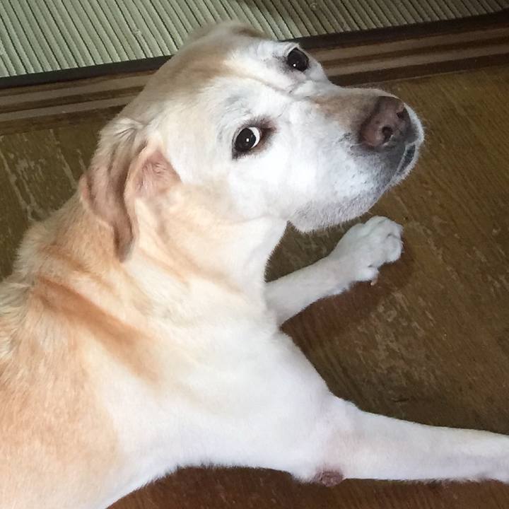 306edf69 4466 4e41 94e7 9bdedb5a3009