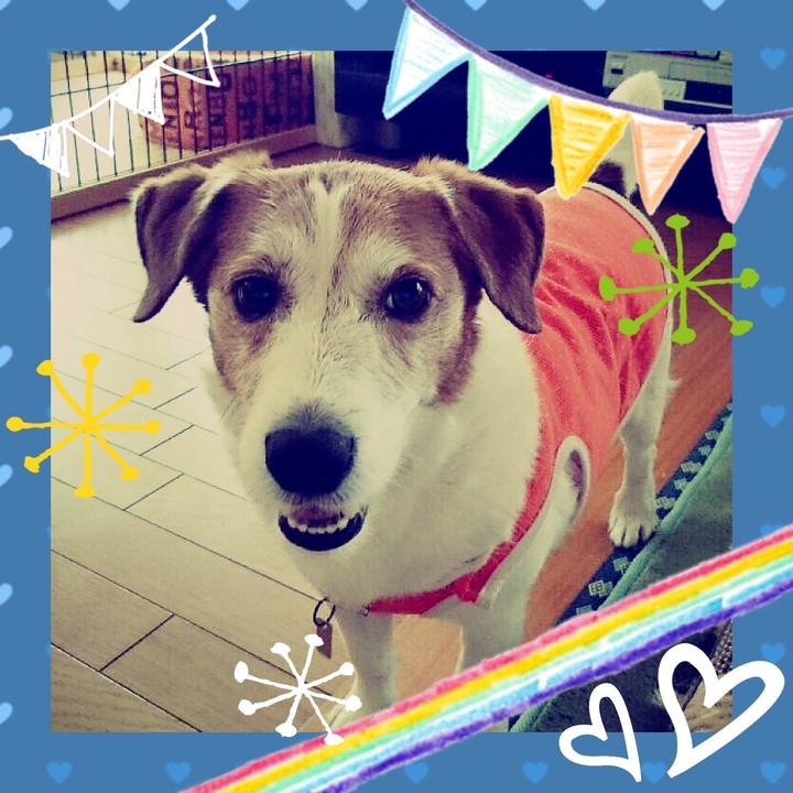 306f2051 c133 416c 8b16 68ea01e8dfd2