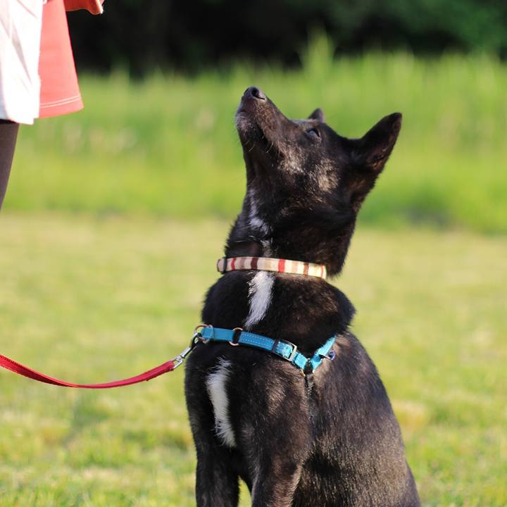 306f8011 9ad7 425f 8dd2 3b4fa36de093