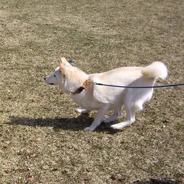 306fa208 ed94 48ec 9665 44b50669e671