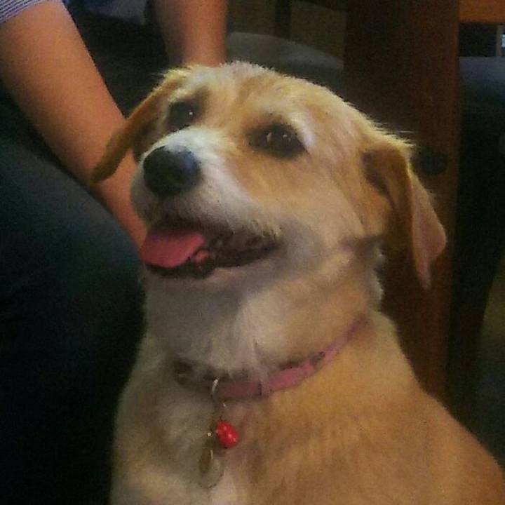 30705aba 7855 466b bba8 5f7dcaef8736