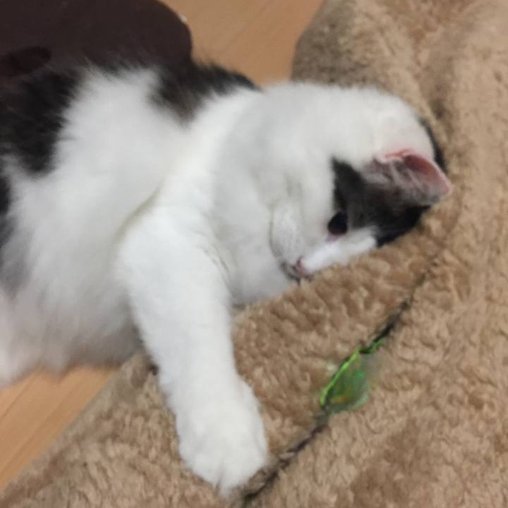 30706135 340e 495b 971a 587ac80d0c19