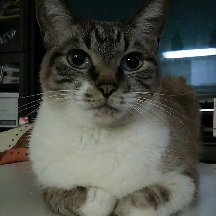 30709f2a e963 4b15 b994 70febdc8c1a7