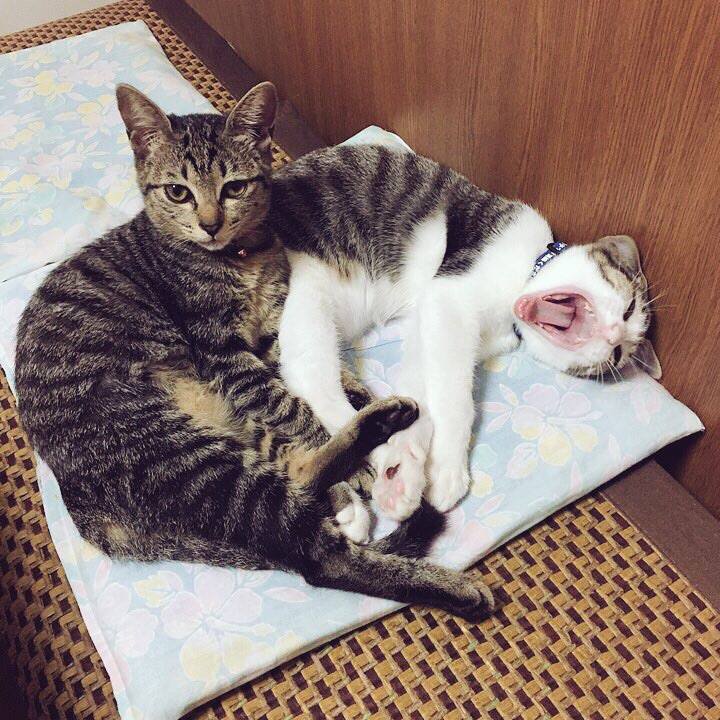 3071e459 611d 4e56 9912 5f2514a7c50f