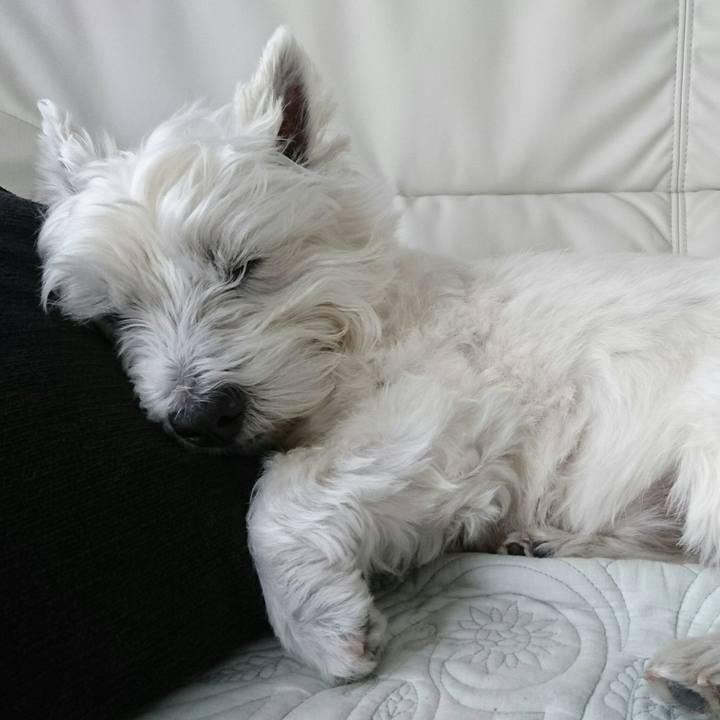 3072afaf 655a 4f0b a58c 68bce7043b57