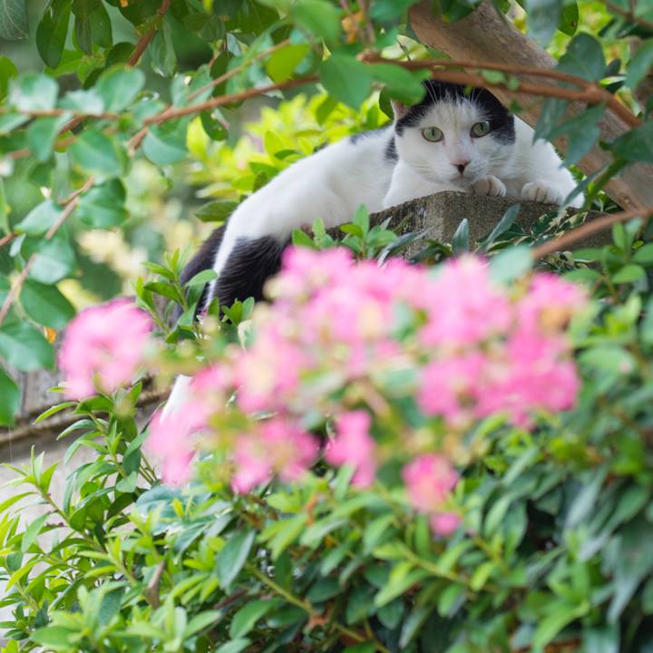 3072d5b2 3c10 4d6f a7ab 86bda3c7b546