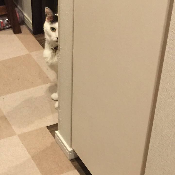 30736952 7f31 43b3 841d 5cac3b8b4a62