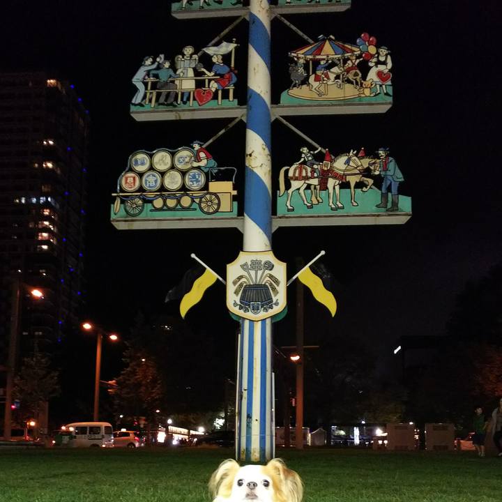 30737055 4911 41b3 9a1f 6d9ca3150ead