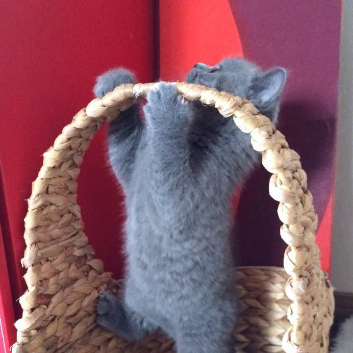 307378a3 483f 40f6 a9df 6d95d9dcae50