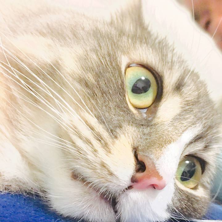 30739300 ecf3 41b0 8b81 31c58001a72c