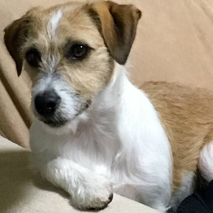 3073c0bf a85b 453f b388 edebc3a0b65c